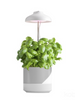 Lampa do roślin LED VERDI 5W barwa ciepła 3200K  wbijana