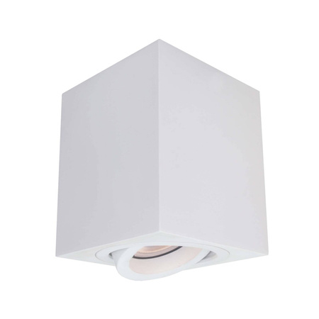 Lyon 1 oprawa natynkowa biala LP-5881/1SM WH