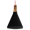 Robinson lampa wisząca 26 1X60W E27 czarno-czarny 31-10421