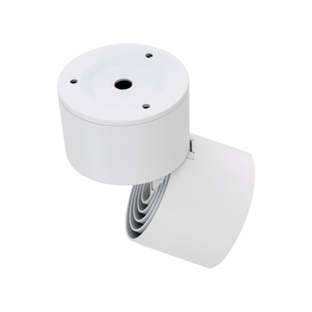SPARK WHITE CCT 10W
