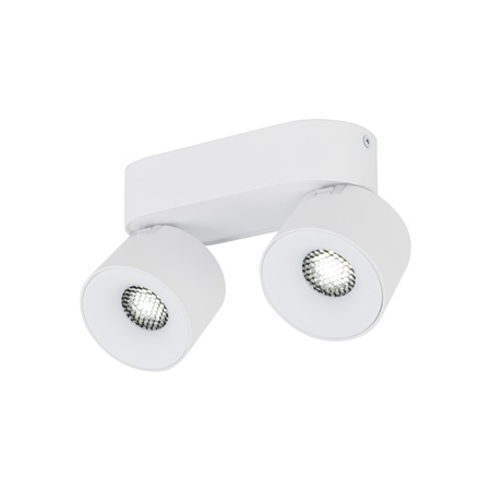 SPARK DUO WHITE CCT 20W