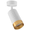 Lampa ścienno-sufitowa ARRAS 1 biało-złota GU10