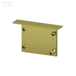 Zaślepka aluminiowa GOLD  P22-1 bez otworu (wkręty w komplecie) (nr ka 77221192)