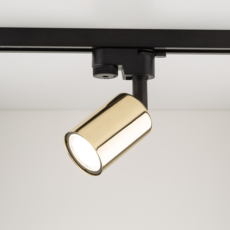 Tk Lighting TRACER TOP GOLD lampa sufitowa 1xGU10