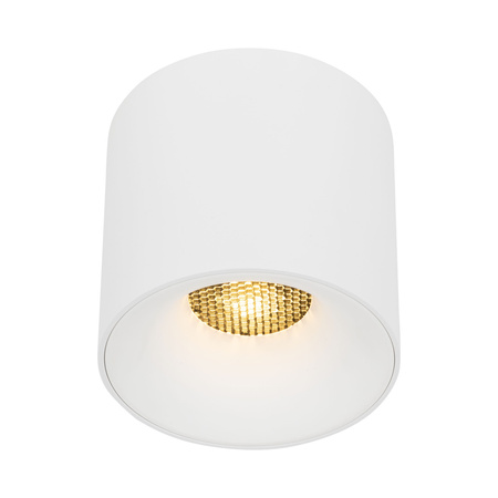 Tk Lighting BLAZE WHITE 30W oprawa punktowa natynkowa biała oczko