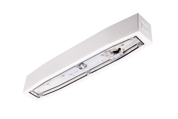 Oprawa sieciowo-awaryjna natynkowa SUPREMA SC 250 M 3H CT IP54 NT / soczewka korytarzowa / 94708