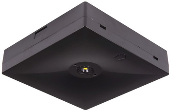 Oprawa awaryjna natynkowa STARLET QUAD SO 150 NM 1H CT IP20 [BLK] / 95532