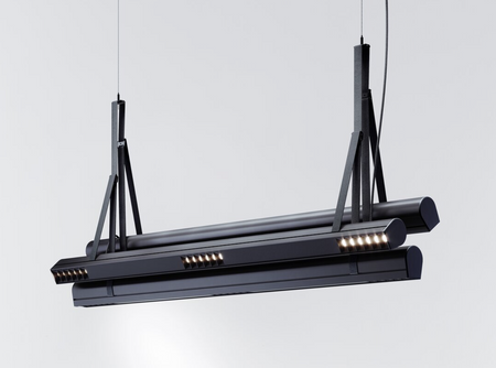 Kluś Lampa wisząca LED Tulip TU BUNCH ZW L=1131mm, DOT/Blenda, 43W, 4000K, DALI, CZARNY