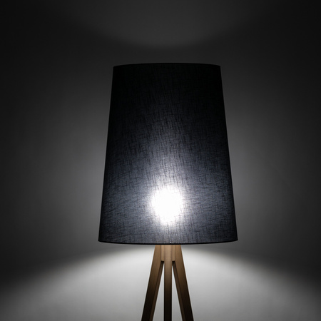 Tk Lighting WALZ BLACK 1xE27