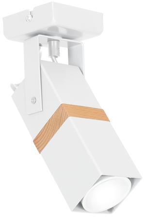 Lampa sufitowa VIDAR WHITE 1xGU10