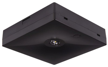 Oprawa awaryjna natynkowa Starlet Quad SC 350 NM 1H AT IP20 [BLK] / 87469