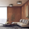 Lampa sufitowa HARMONY Nature 4xE27 500