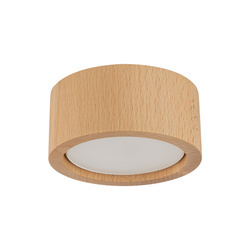 Lampa sufitowa EVE Wood Buk 1xGX53