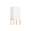 Lampa podłogowa Ganto 1xE27 160cm WD