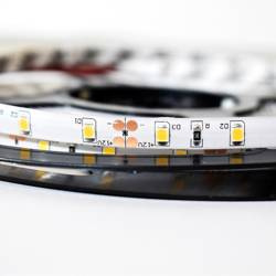 Taśma Pro 60 LED 24W 4000K IP65 5m