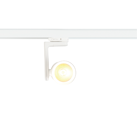 Reflektor Timor 30W 2700/4000K Biały 3 Obwodowy