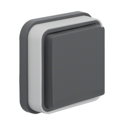 Gniazdo podtynkowe pojedyncze z uziemieniem  hermetyczne IP55 Szary Berker W.1 komplet z ramką