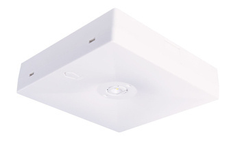 Oprawa sieciowo-awaryjna natynkowa STARLET QUAD LED SO 250 SA 1H AT IP20 / 92824