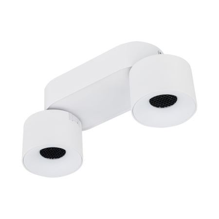 SPARK DUO WHITE CCT 20W