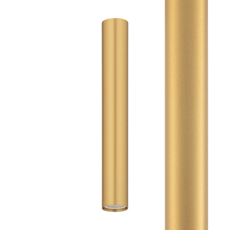 Klosz  CAMELEON FOURTY M Nowodvorski 11221