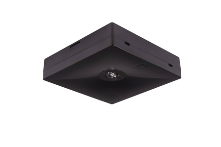 Oprawa sieciowo-awaryjna natynkowa STARLET QUAD LED SCH 250 SA 1H MT IP20 / soczewka korytarzowa do pomieszczeń wysokich / 92952