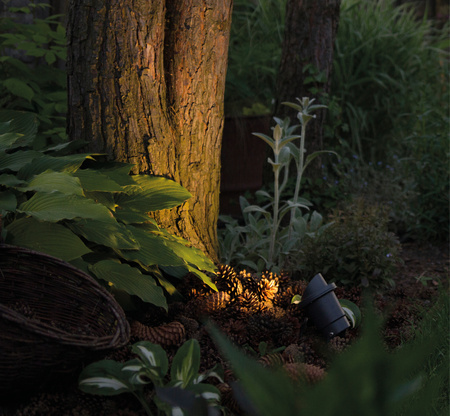 Nowodvorski Reflektor ogrodowy wbijany BUSH 