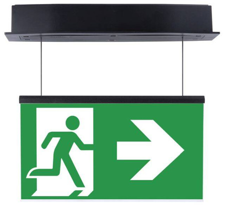 Oprawa ewakuacyjna podtynkowa SUPREMA LED D-std SA 3H CT IP54 PT-S [BLK] / 94684