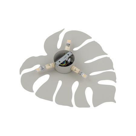 Kinkiet MONSTERA Beige 3xG9