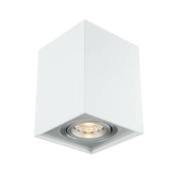 Oprawa OZZO n/t FABIO 1W/AL kwadrat ruchomy biały/alu