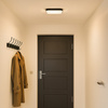 Plafon NEMO BLACK 17W LED