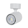 Lampa spot Tokio 1xGU10 biała