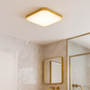 Plafon NEMO GOLD 17W LED