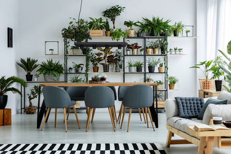 Nowodvorski Lampa wisząca czarna PLANT