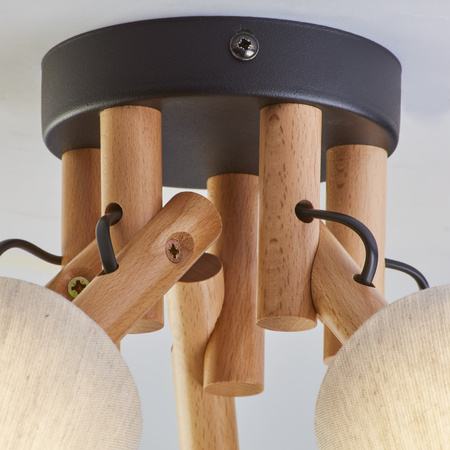 VAIO NATURE LAMPA SUFITOWA 5