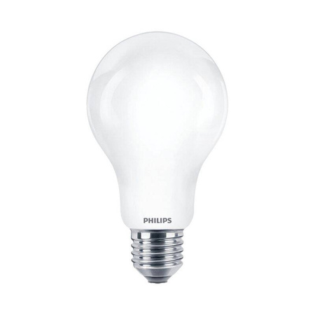 Żarówka LED PHILIPS E27 13W 6500K A67