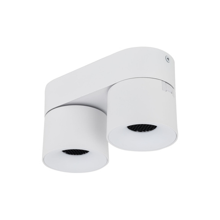 SPARK DUO WHITE CCT 20W