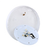 Lampa sufitowa RONDO WHITE Plafon 6xE27