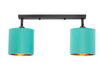 Lampa sufitowa reflektor 2xE27 listwa zielono złota 40cm