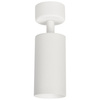 Oprawa sufitowa Spot MICA WHITE 1xGU10