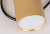 Tuba wisząca Candellux czarna złota 31-77677