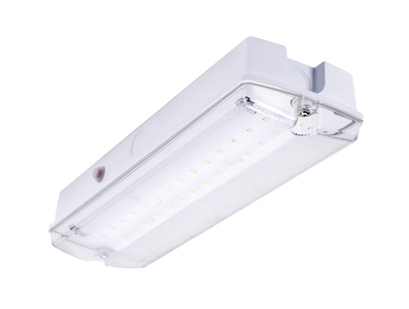 Oprawa ewakuacyjna/awaryjna ORION LED 150 SA 3H AT LT IP65 / WERSJA LT (UKŁAD GRZEJNY Z TERMOSTATEM) / 93387