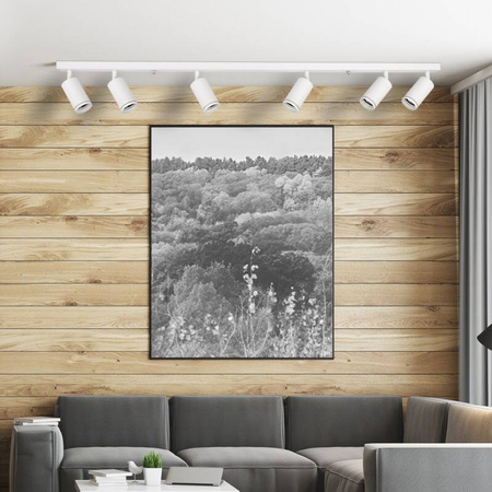 Lampa ścienno-sufitowa PARIS 6 GU10 Biała