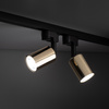Tk Lighting TRACER TOP GOLD lampa sufitowa 1xGU10