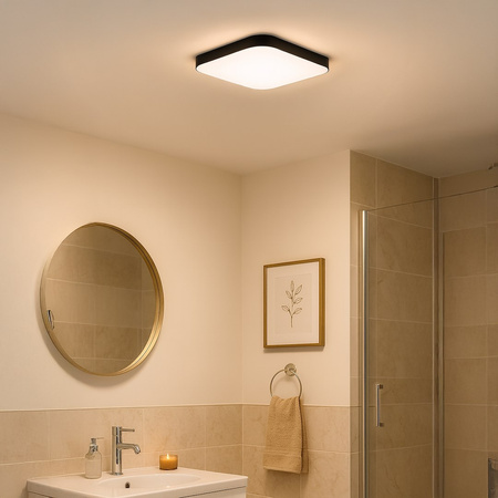Plafon NEMO BLACK 17W LED