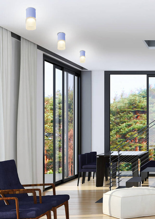 Oprawa natynkowa tuba Szara z mrożonym szkłem na żarówkę GU10 Candellux 2273686