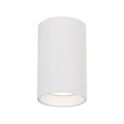 GENESIS SPOT WHITE 1xGU10 10cm