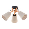 VAIO NATURE LAMPA SUFITOWA 3