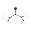 Lampa sufitowa FAIRY Black 4xG9