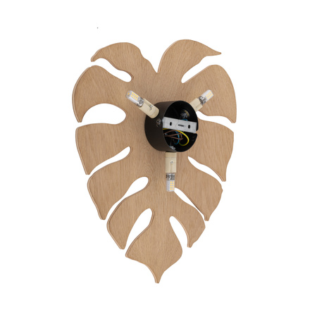 Kinkiet MONSTERA Wood Dąb 3xG9