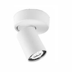 Oprawa  OZZO Cleo 1W-WH spot 1-50W biała